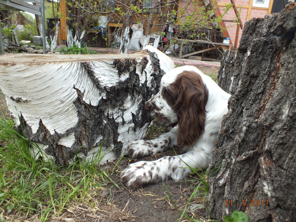 DSCF9008.JPG