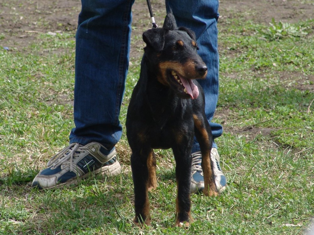 чпч Дон-Айко.JPG