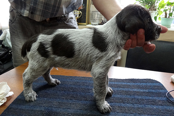 рейн DSC00779.JPG