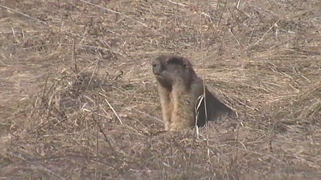 S2290002.JPG