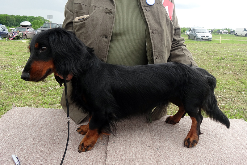 виват гами валерос01039.JPG