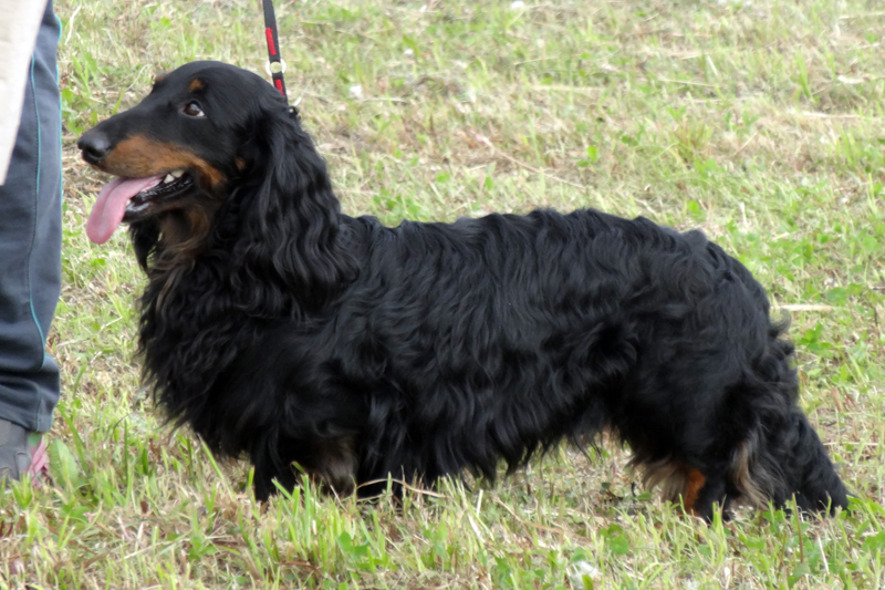 авантаж Джеффери01328.JPG