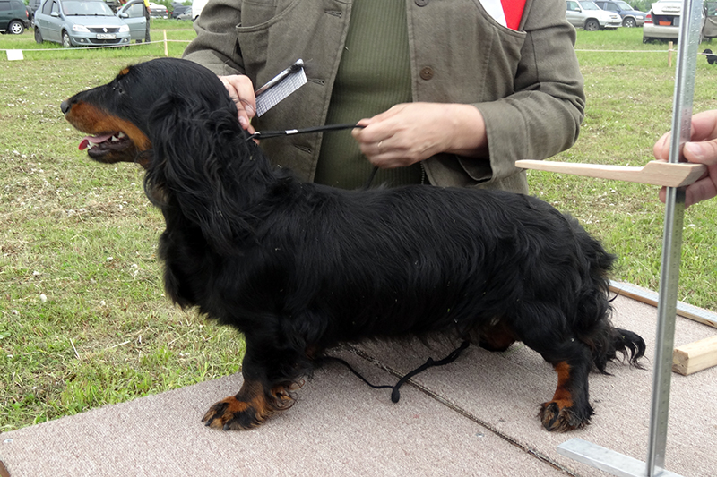 виват гами виктория 1041.JPG