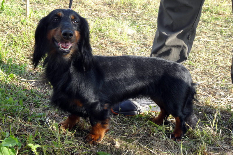 Виват Гами Фея01346.JPG