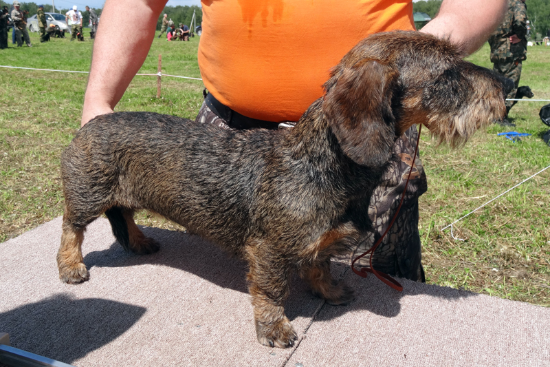 Леона от Веводи Хуберта01202.JPG