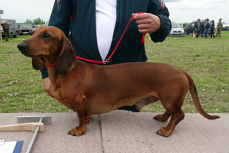 Байрон 01033.JPG