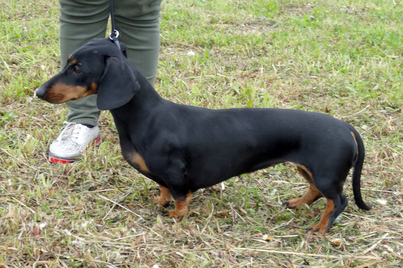 брунгальда 01110.JPG