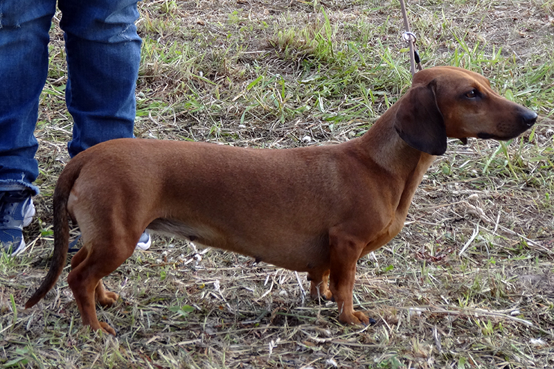 Найда 01310.JPG