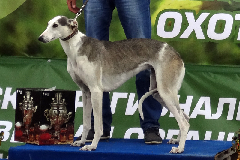 золка Юсупов  2C01390.jpg