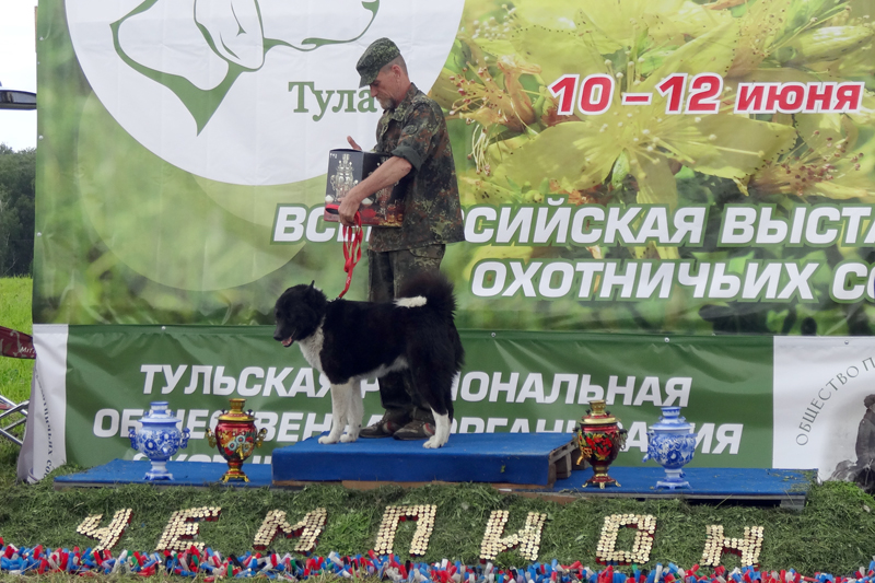 эмир забелинский01406.JPG