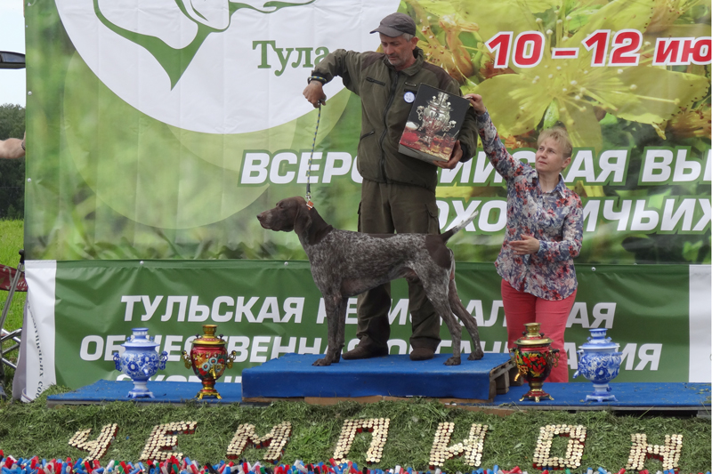 тристан 01434.JPG