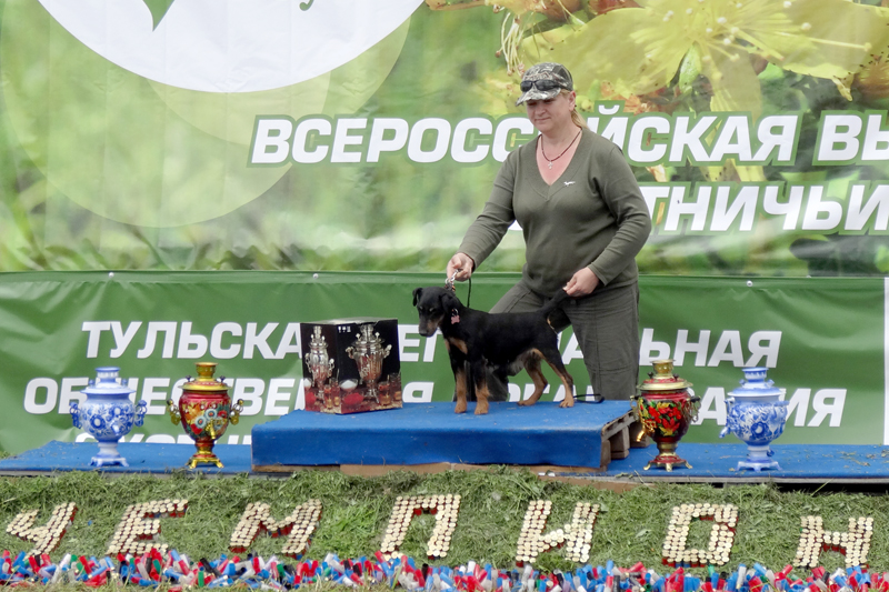 хантер лиясс ирджи1450.JPG