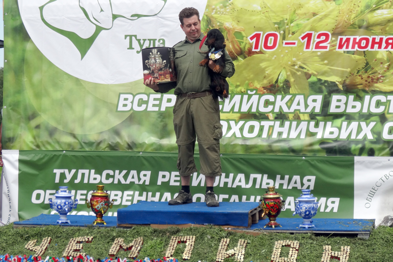 виват гами фея01459.JPG