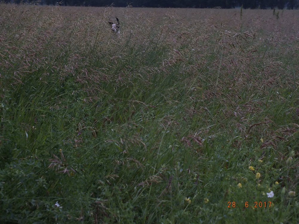 DSCF9066.JPG