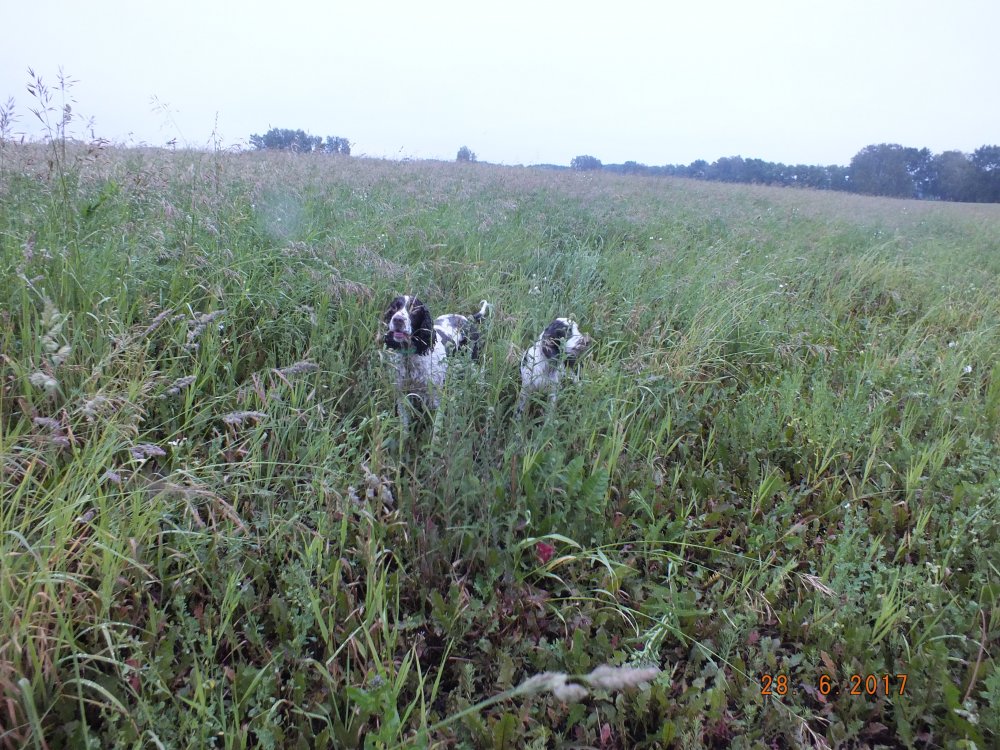 DSCF9039.JPG