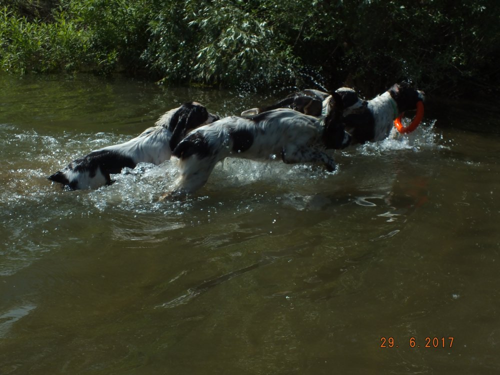 DSCF9109.JPG