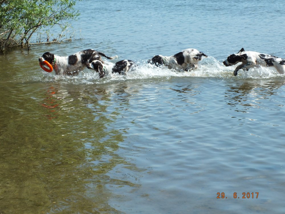 DSCF9105.JPG