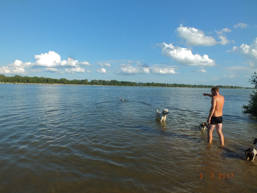 DSCF9116.JPG