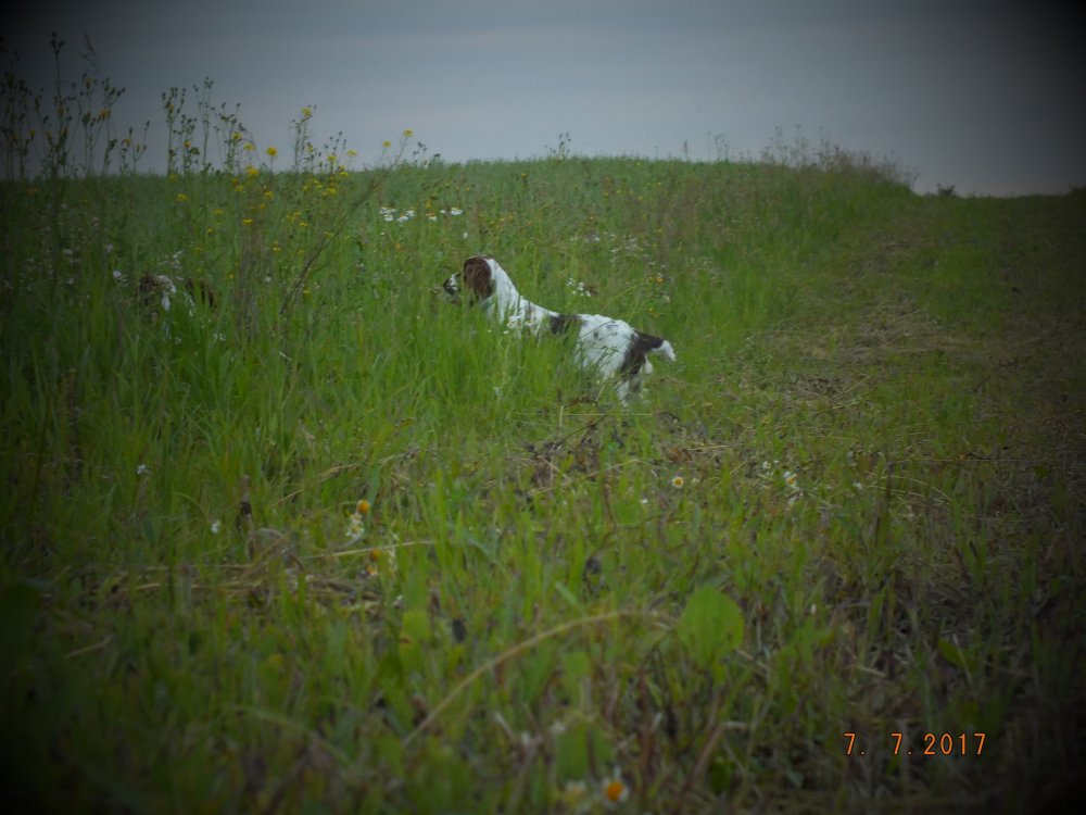 DSCF9183.JPG