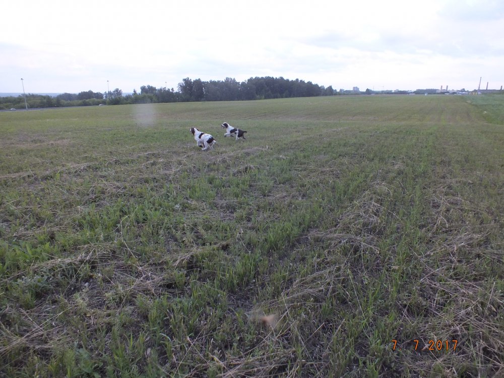 DSCF9149.JPG