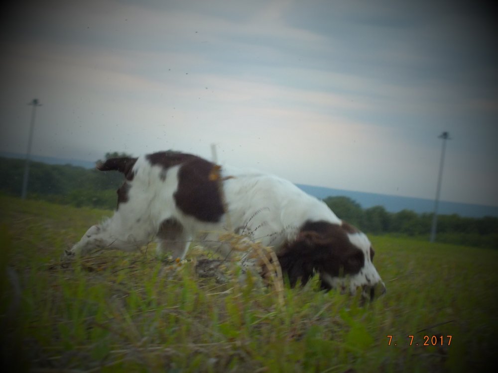 DSCF9199.JPG