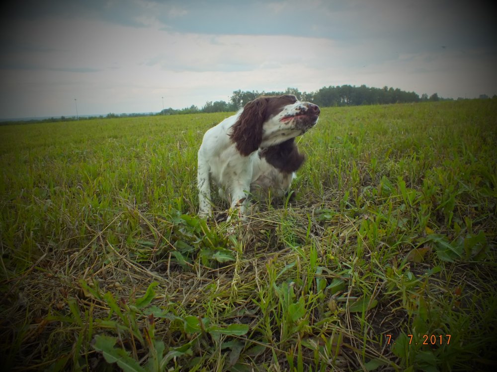 DSCF9187.JPG