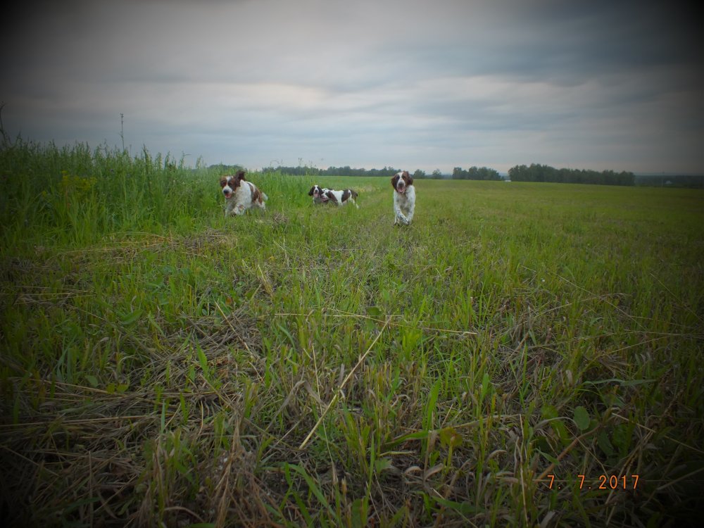 DSCF9168.JPG