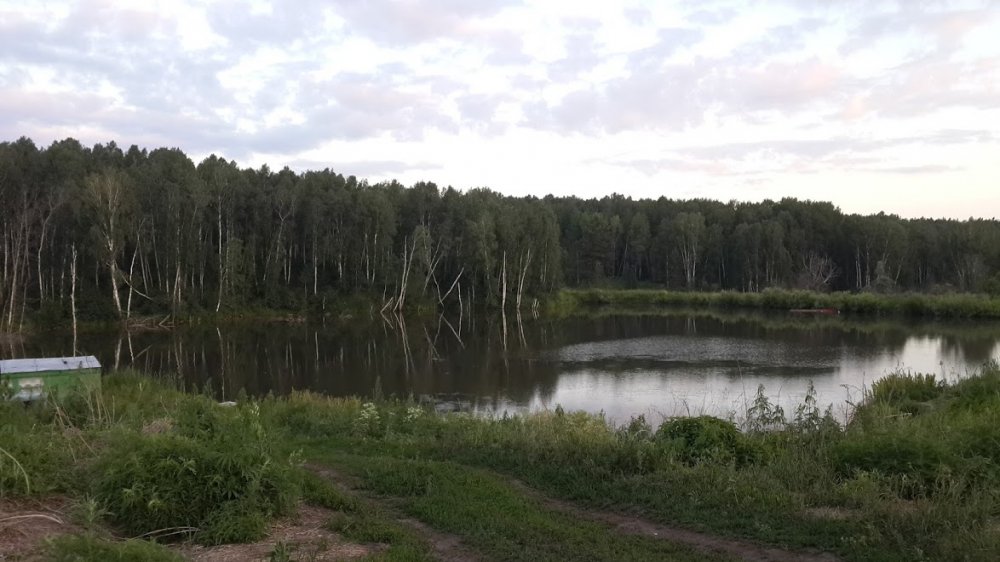 20170707_213622.jpg