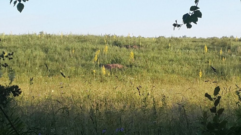 20170708_065547.jpg