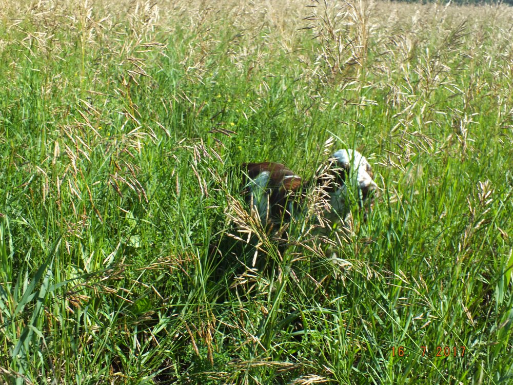 DSCF9650.JPG