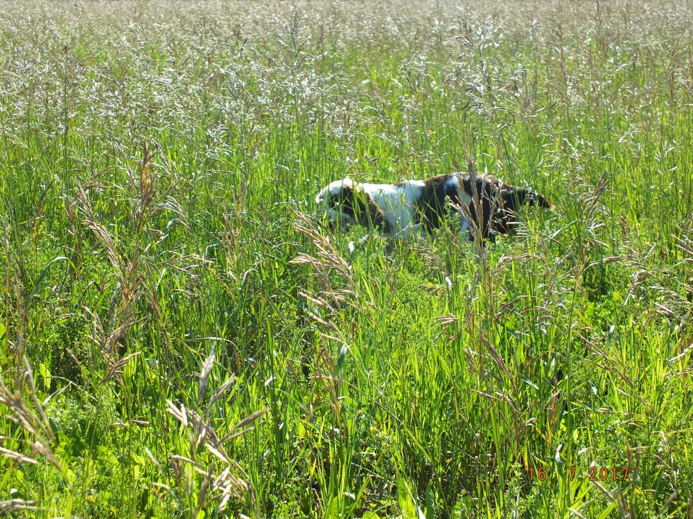 DSCF9652.JPG