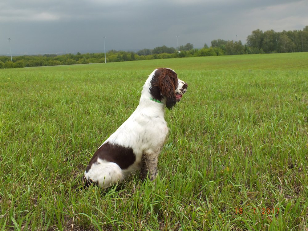 DSCF9665.JPG