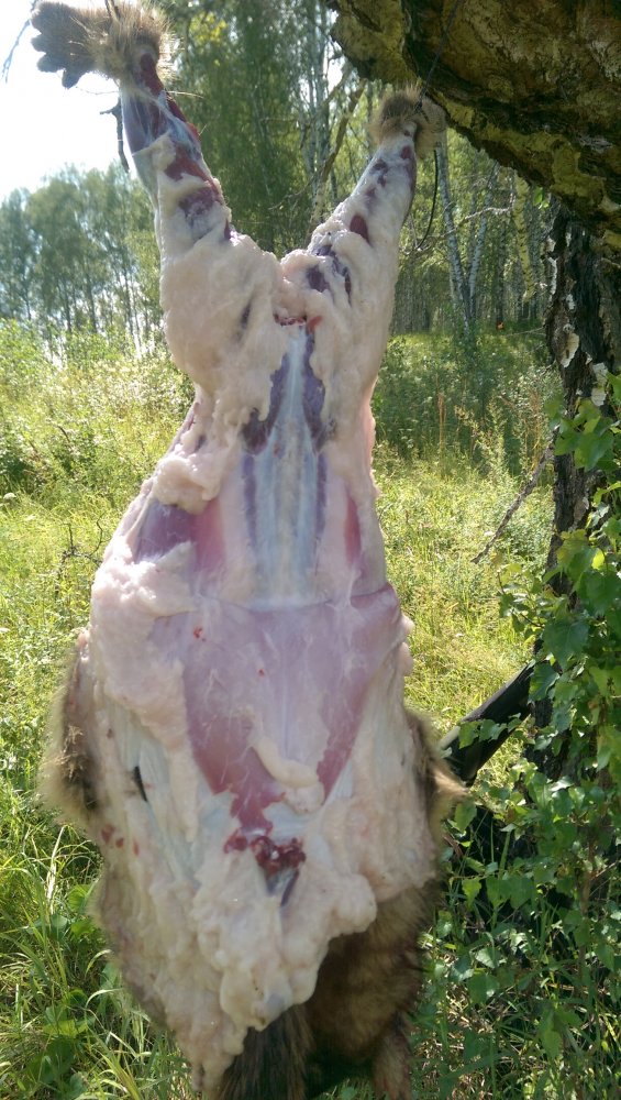 IMAG0463.jpg