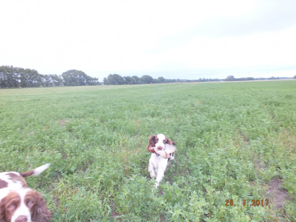 DSCF9758.JPG