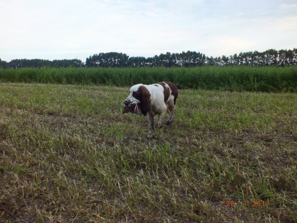 S0409863.JPG