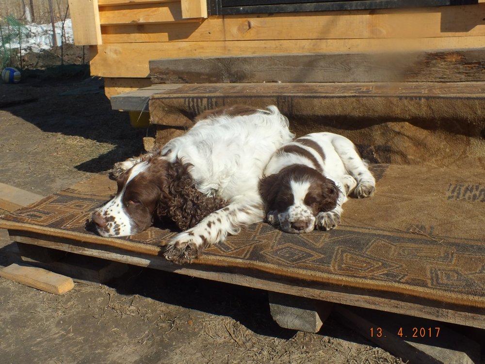 DSCF8819.JPG
