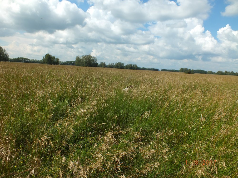 DSCF9970.JPG
