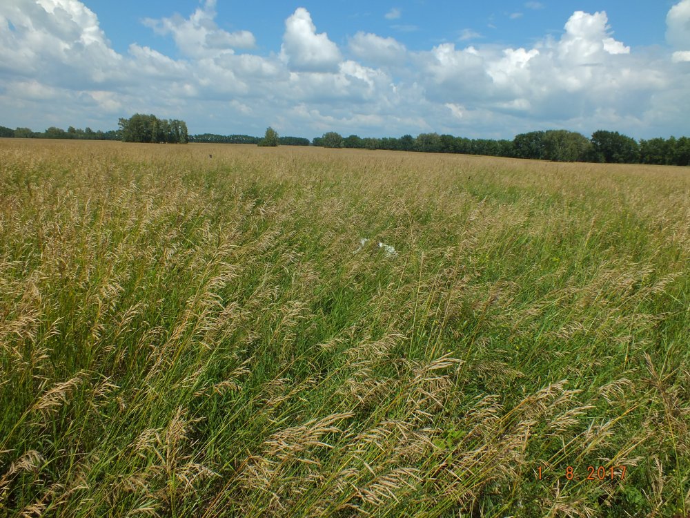 DSCF9973.JPG