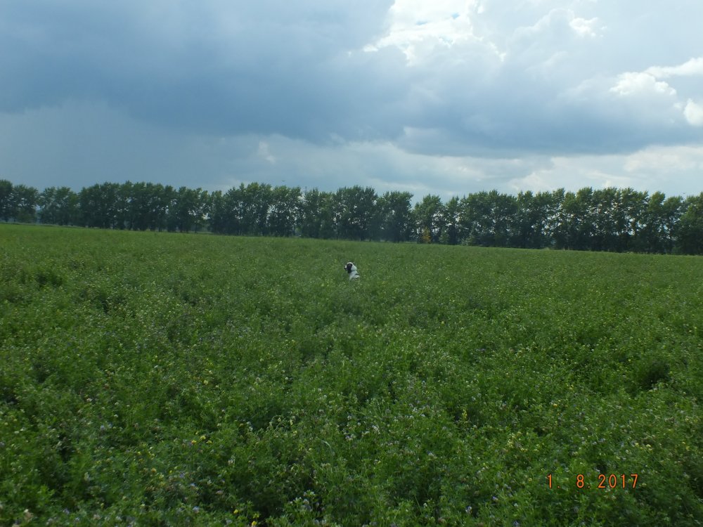 S0010003.JPG