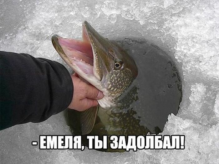 1502647487_29.jpg