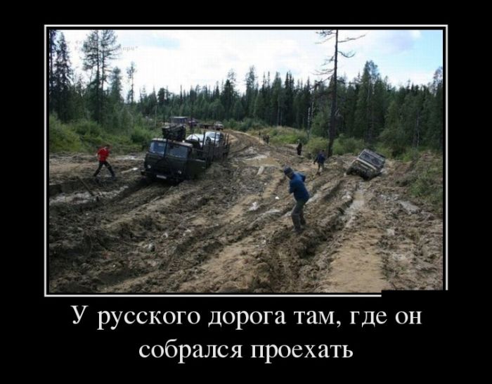 1502816785_026.jpg