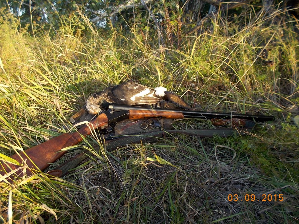 DSCN0360.JPG