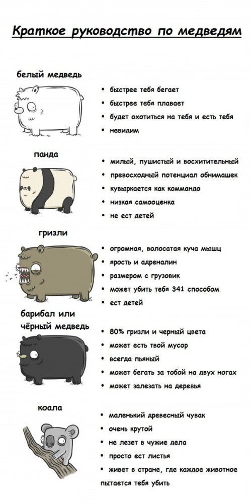 1503719322138051477.jpg