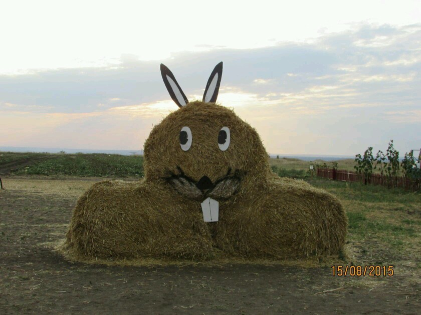 ЗАЯЦ.jpg