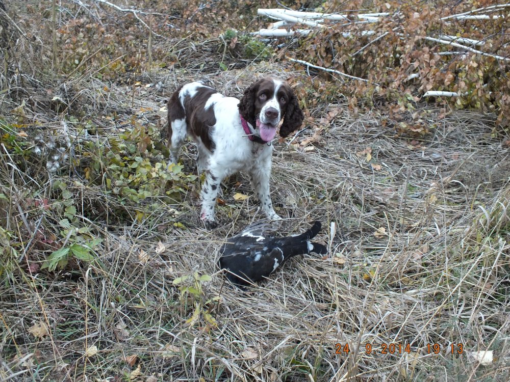 DSCF1159.JPG