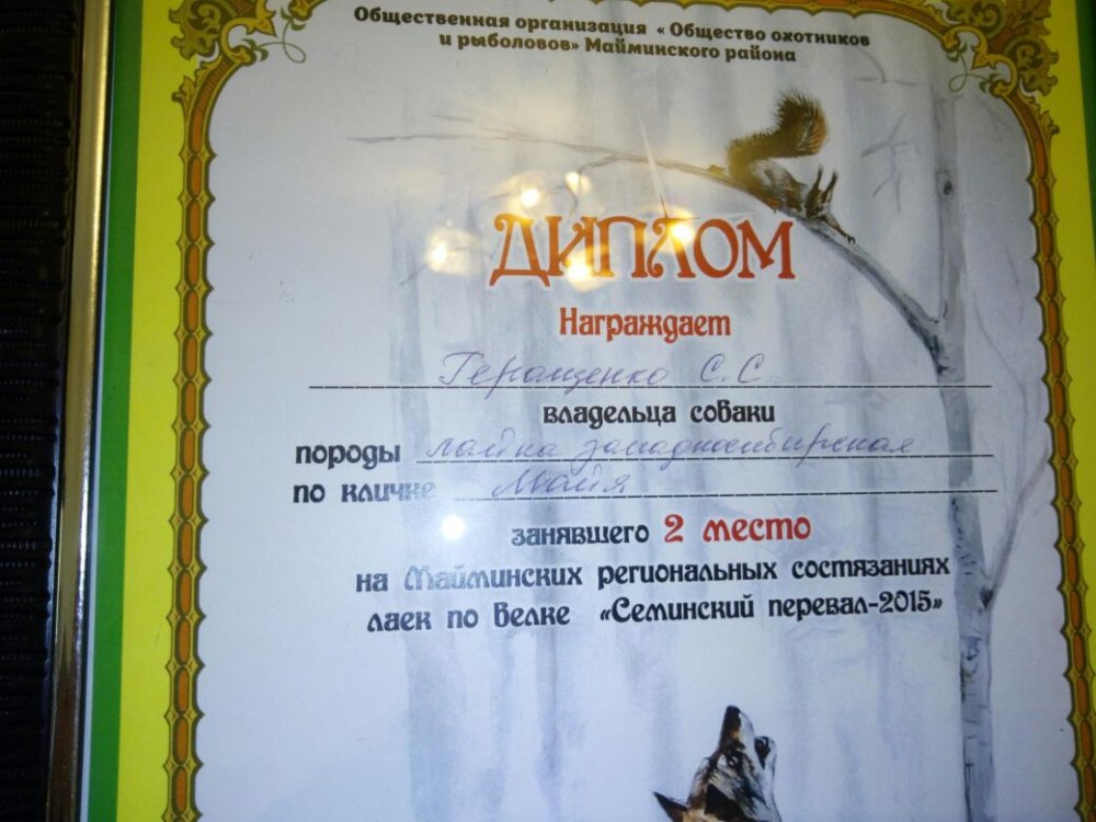IMG-20170906-WA0001.jpg
