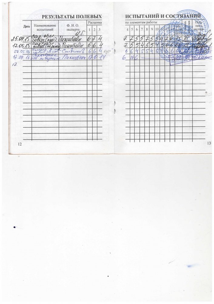 Полевые испытания.jpeg