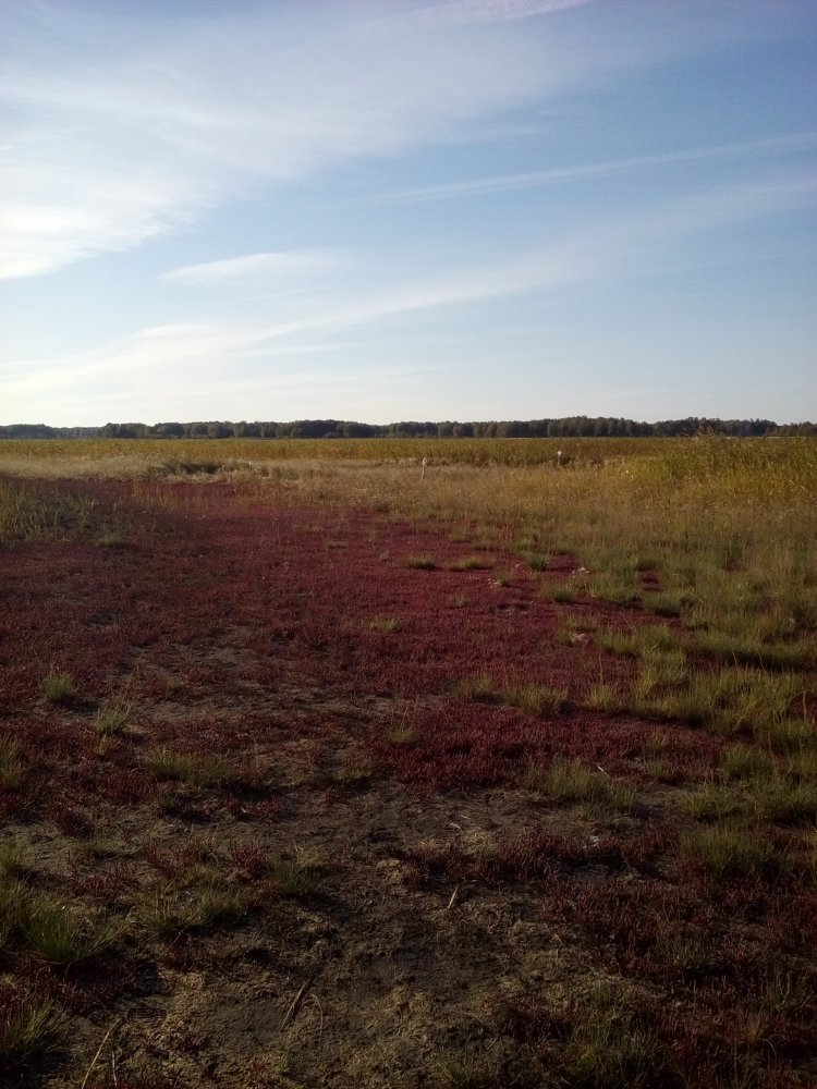 20170903_091324.jpg