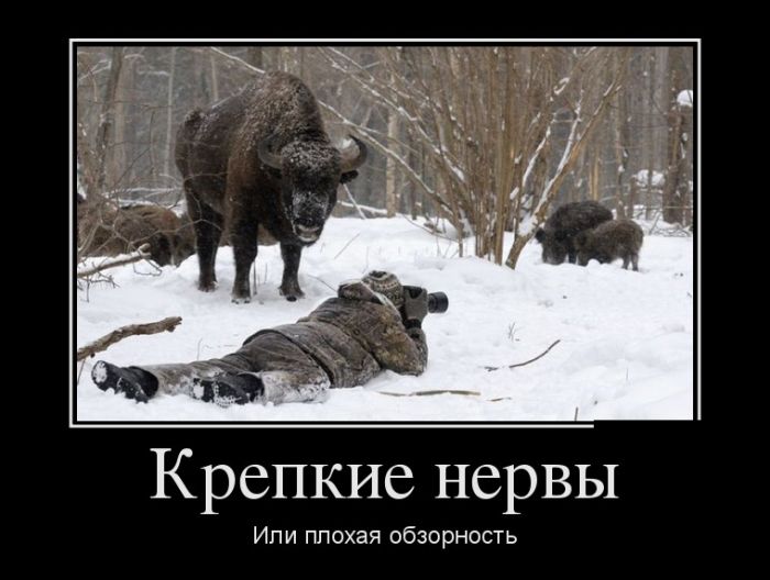 1504124825_demotivatory_17 (1).jpg