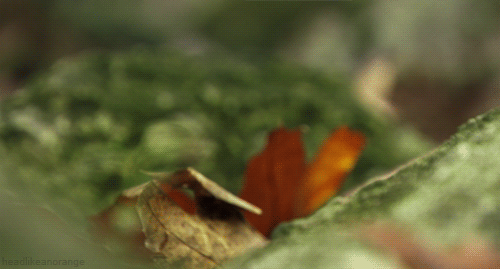 1504783447_03.gif